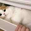 狩り場..納棺体験