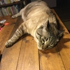 夏休み⑦