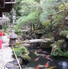 折角連休なので京都に行ってきました。