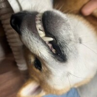 いくら　ヒマだからってさ～　☆　迷惑だから　迷惑メールなのだけどね