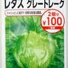 水耕栽培で「レタス」に挑戦中。一度苗を作ってから栽培装置で育てます