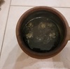 普段の食生活がまるわかり　よもぎ蒸しお客様カルテ　8/16