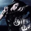 WILD/Dr　安室奈美恵