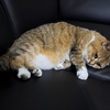 2回目の3連休開始　今日こそ残暑は終わるのか？