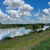 昨日のライド 江戸川サイクリングロード 狙って丁度100km