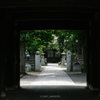 M.ZUIKO DIGITAL ED 12-40mm F2.8 PROで府中 大國魂神社〜高安寺