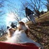 360°カメラ⑤📷️🐶さらに改良編