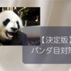 目の下のメイク落ちをいとも簡単に解決した話