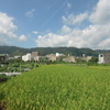 水無瀬
