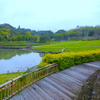 実走！名古屋RUNコース vol.100「於大公園（東浦町）」。