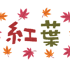 今が見頃！紅葉はもう楽しみましたか？