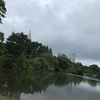 ＃秋の新宿御苑
