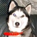 ExcelでSQLを使う