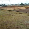 庭と言う名の荒れ地を金をかけずにどうにかしたい（家庭菜園編その1）