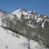 谷川岳で残雪シリセード