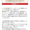 借金２００万円超えると返済は焼け石に水。でも返済する意義は大きい。