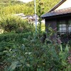 お盆（休み）近づく・・・車多し。