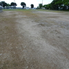 浜ちゃん日記　　梅雨時の雑草繁茂の防止