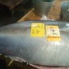 冷凍物の天敵！