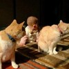 少年よ大志を抱け、この老人のように σ(^_^;)