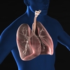 呼吸器が苦手な理学療法士・作業療法士さん必見！呼吸とは？～内臓と呼吸の仕組み～