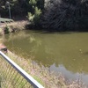 『南ヶ谷池』静岡県掛川野池群バス釣り完全攻略マップ