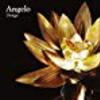 “『【Angelo】 : Design』を聞いた。”