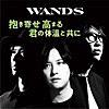 WANDS/愛を語るより口づけをかわそう 〜WANDS 第5期 ver.〜