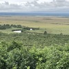 釧路を遊ぶ④！釧路湿原、展望台から見る絶景