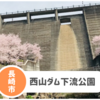 【西山ダム下流公園】映える桜穴場スポット！駐車場・アクセスまとめ