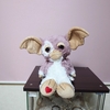 ピンクの推し(ギズモ)がやって来た!!