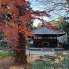 寒しを詠んだ短歌２／明月院・浄智寺へ冬探し　山茶花の終わった浄智寺横の道，北鎌倉の流れの横の芒は冬の風情．　　川水の寒けくもあるか夕づく日たださすところにたてるさざなみ　岡麓　　うつし身はかなしきかなや篁（たかむら）の寒きひかりを見むとし思ふ　斎藤茂吉　　堂の扉（と）きしむ音ありて夕ちかし山の向ふに陽のゐる寒さ　吉植庄亮　　さむざむと御堂の縁に端居して眼を放つ不二の明る妙はも　北原白秋　　きしきしと寒さに踏めば板軋む／かへり廊下の／不意のくちづけ　石川啄木