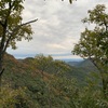 登ってみたシリーズ　金華山編