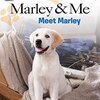 「世界一おバカな犬」Marleyを映画に基づきながら紹介　ICRシリーズLevel 1から『Marley & Me: Meet Marley』のご紹介