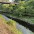 5月14日(木)秩父フライフィールドの河川情報