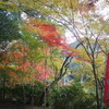 紅葉の錦　ご開帳のご利益　　紐の謎