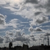 🌤昨日は雲と青空がとても素敵でした