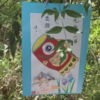 2025年　端午の節句