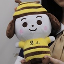 なっつのあれこれ