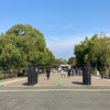 【立川】秋の昭和記念公園でコスモス畑を観察