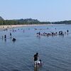 金沢海の公園散策！