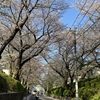 桜坂は大田区にある