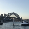 シドニー観光　BLIDGE CLIMB と Vivid Sydney 