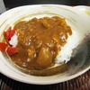 しっかりやれば効果てきめん！　カレーダイエットのやり方