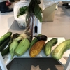 伝統野菜あれこれ
