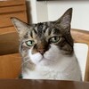 ベーシックインカムの世の中を垣間見る一例