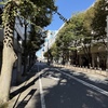 やっとこ現地で。。。