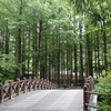 都道府県別の建設総合統計のデータの分析２ - Rの pivot_longer()関数で 横長型のデータフレームを縦長型に変換
