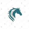 緊急❗️　浦和記念【無料予想】公開中💡
