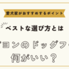 パピヨンのドッグフード何がいい？ベストな選び方と愛犬家がおすすめするポイント